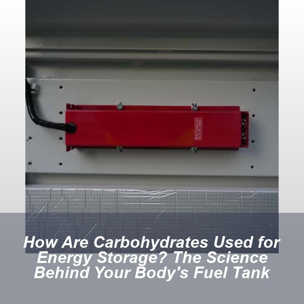 How Are Carbohydrates Used for Energy Storage? The Science Behind Your Body's Fuel Tank